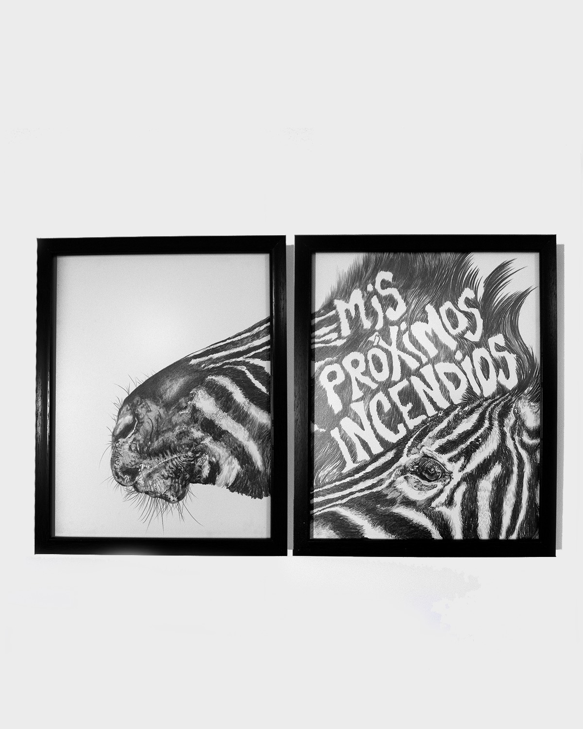 Llega por primera vez a Yucatán la exposición «Cachorros de Tigre», con más de 100 años de dibujo mexicano